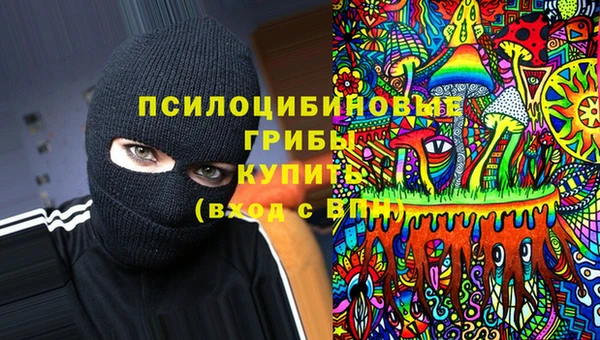эйфоретик Осинники
