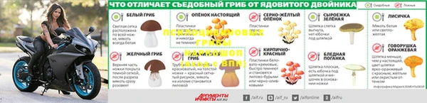 эйфоретик Осинники