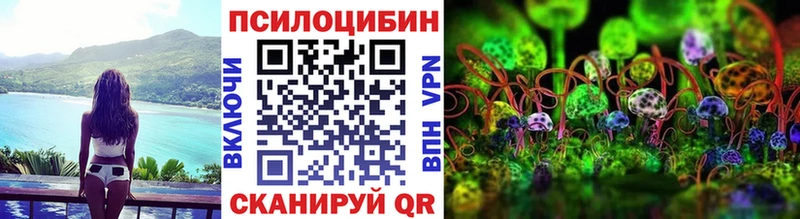 Купить закладки  Балашов  Псилоцибиновые грибы мухоморы 